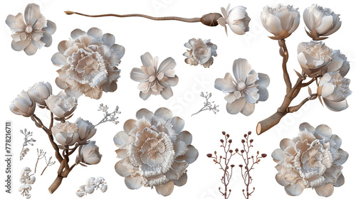Indian Pipe 3D Digital Art Illustration: Vibrant Botanical Floral Design Element, Isolated on Transparent Background, Top View for Exotic Nature Decorative Artworks