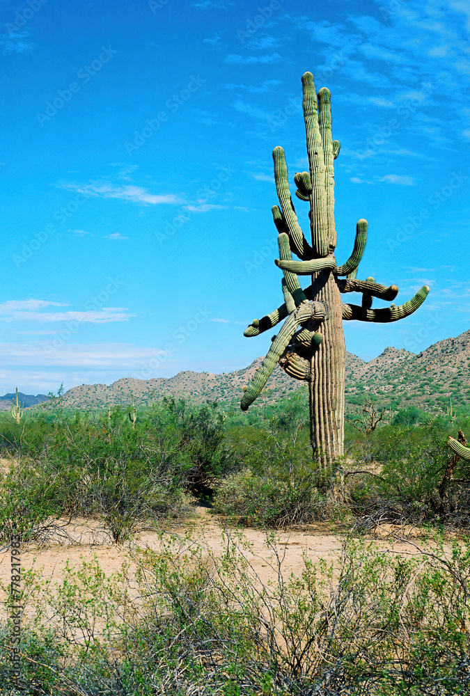 San Tan Mountains Sonora Desert Arizona On Film San Tan Mountains Sonora Desert Arizona On Film