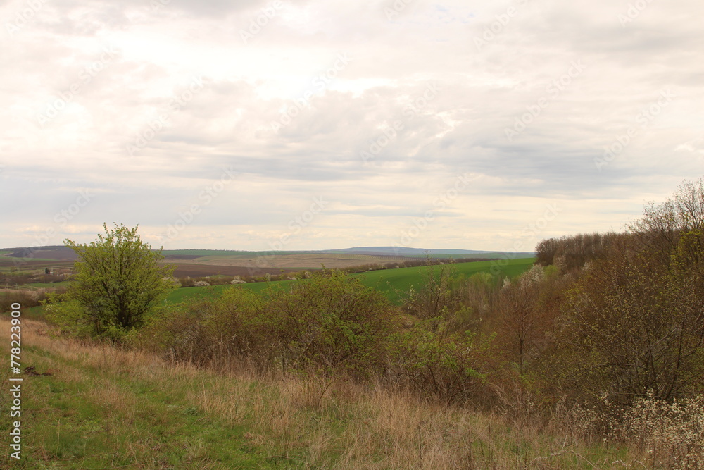 A grassy area with trees and a body of water in the distance A grassy area with trees and a body of water in the distance