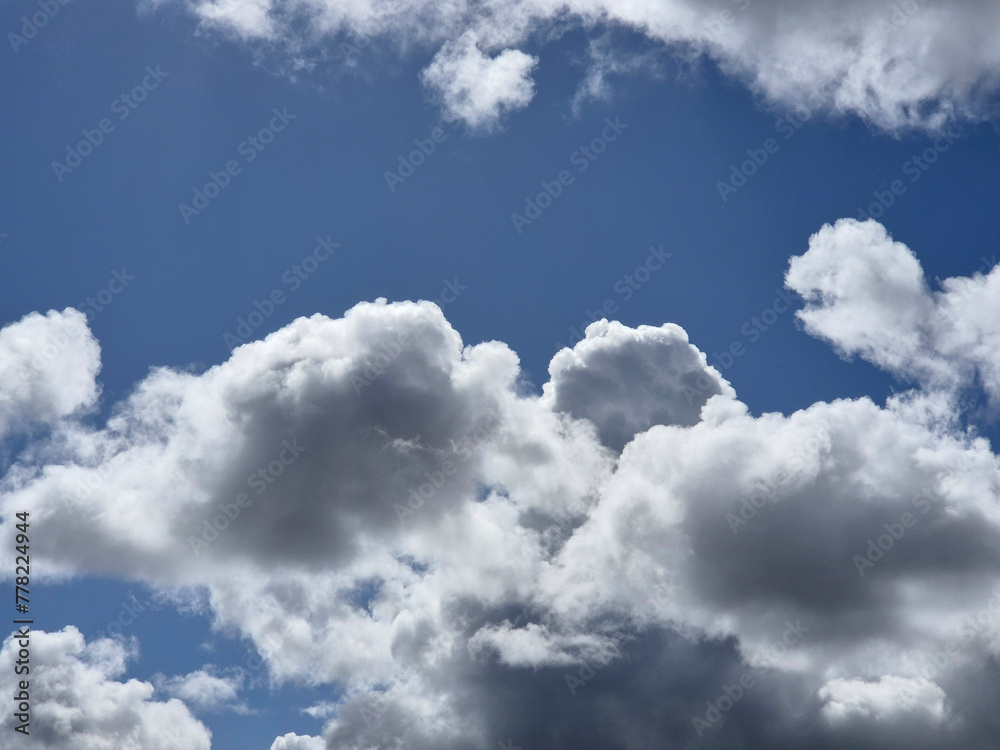Obraz premium Cumulus clouds in the sky. Fluffy cloud shapes