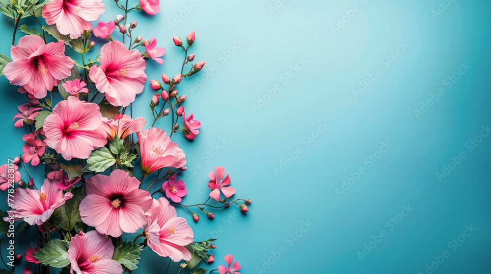 Elegant pink hibiscus flowers arranged on a turquoise background with copy space