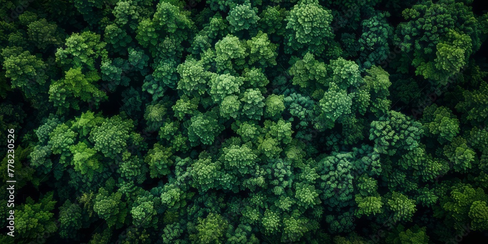 An aerial view of the green forest is portrayed in a style that merges dark emerald, dark indigo and emerald tones, scattered composition, and dark green elements.