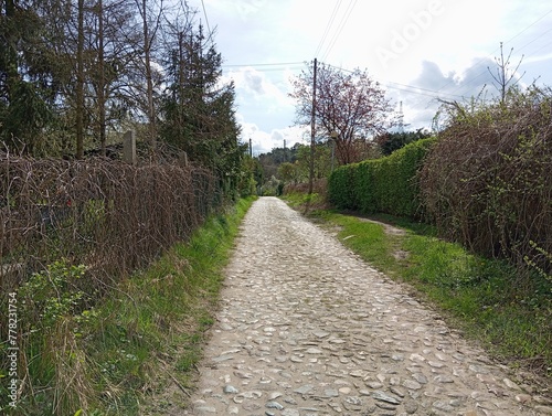 path in the countryside photo