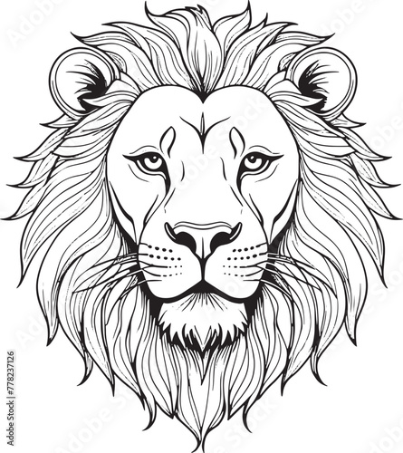 hand drawn lion face line art vector