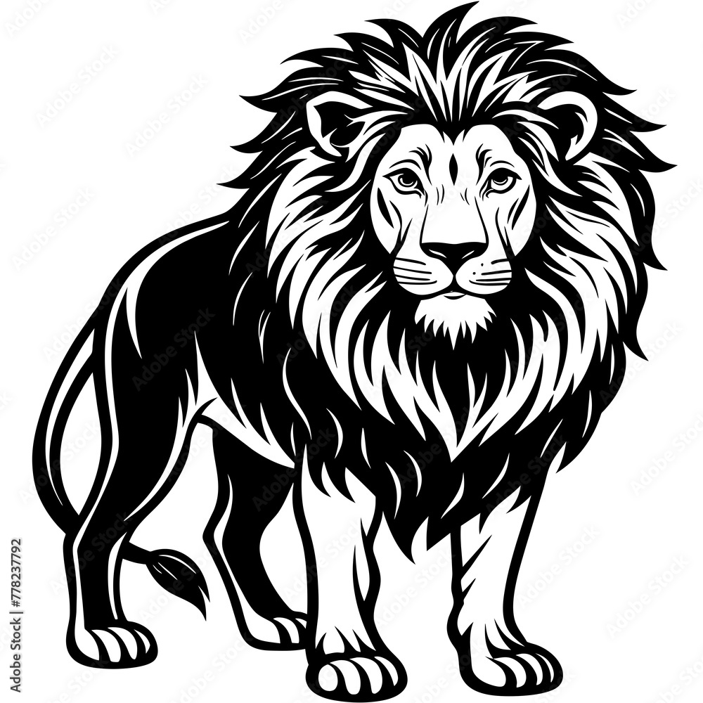 Fototapeta premium illustration of lion