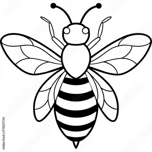 illustration of a bee