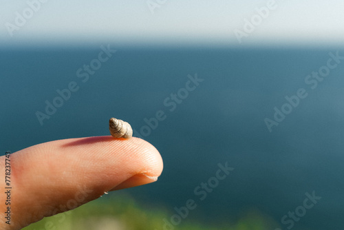 hand holding a snail
