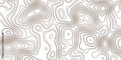 Abstract topographic background. Blank topographic contour map subtle. Vector background design. geographic design background.