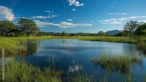 A large body of water with a few trees in the background. The water is calm and clear