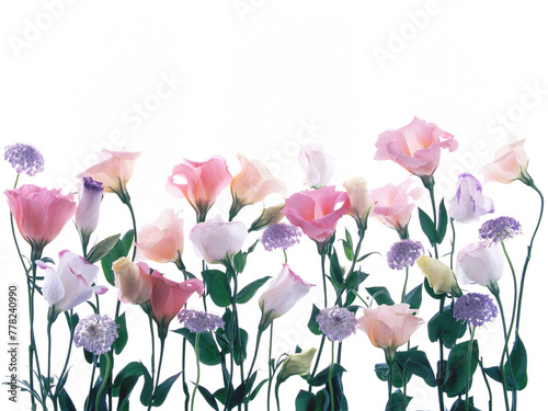 A bunch of Lisianthus and Laceflower
