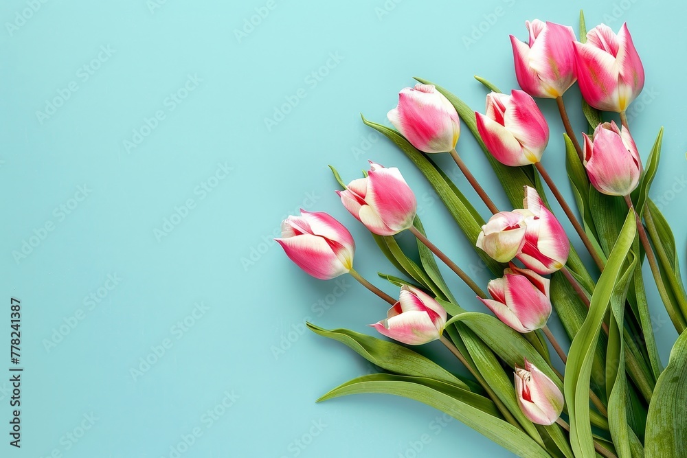 A bouquet of pink tulips on the right side, against a light blue background, top view, flat lay. A bouquet of pink tulips on the right side, against a light blue background, top view, flat lay.
