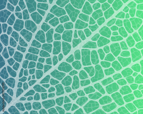Macro texture of a tree leaf.