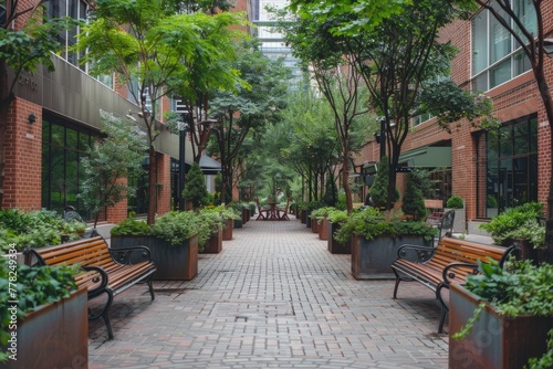A brick walkway lined with benches and trees in a pedestrian-friendly plaza, providing a green refuge for visitors photo