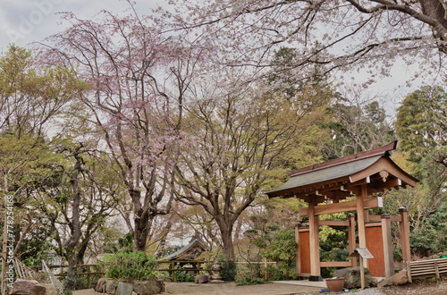 お寺の庭