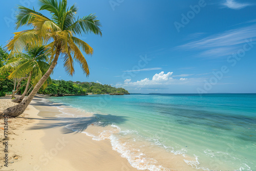 Sandy beach with palm trees on the shore for relaxation. Beautiful and clean sea. Summer background © CozyDigital