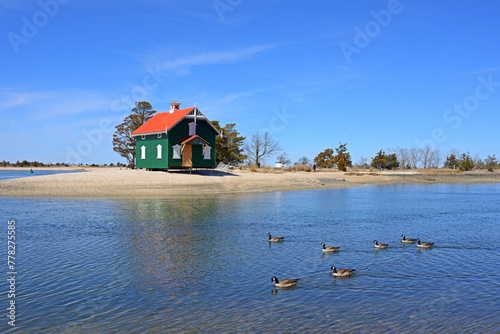 Gamecock Cottage (1876), historic building located at Stony Brook in Brookhaven Town, in Suffolk County, New York on Long Island. Canada geese (Branta canadensis) swim