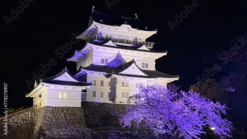 小田原城の夜桜 Cherry blossoms at night at Odawara Castle in Japan
