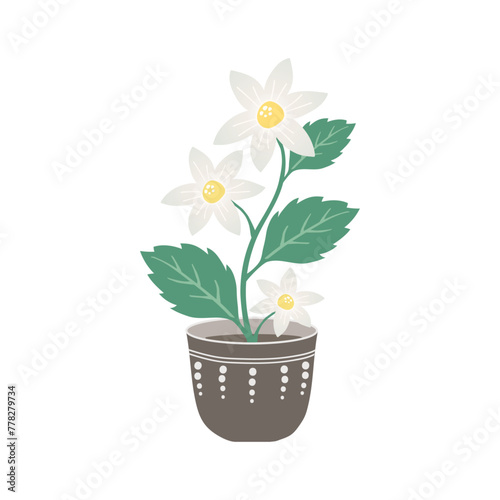 White daisy in flowerpot vector design, ceramic bowl with flower isolated cartoon illustration photo