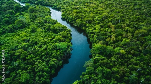 A river runs through a lush green forest. The water is clear and calm, reflecting the trees and sky. The scene is peaceful and serene, with the river providing a sense of tranquility and beauty