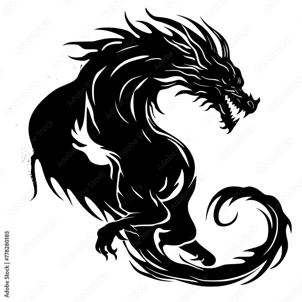black and white dragon black and white dragon