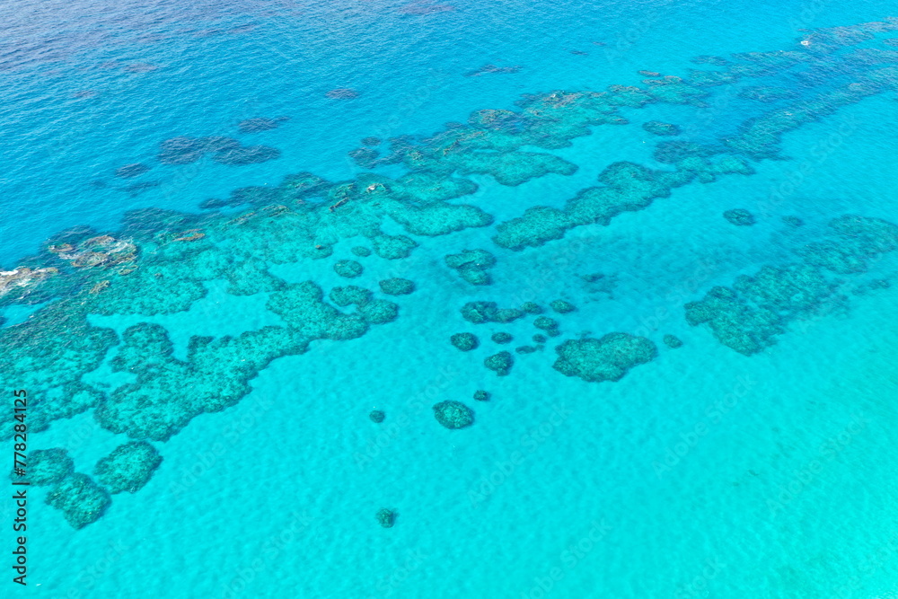 Coral reef next to the tropical paradise island of Bermuda