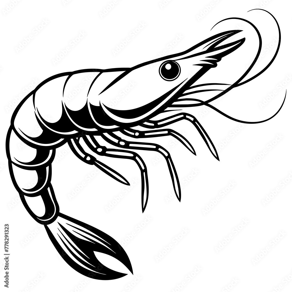 Shrimp vector illustration.
Shrimp vector illustration.