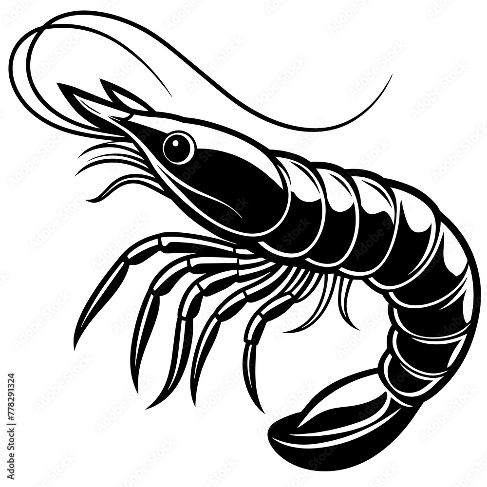 Shrimp vector illustration.
