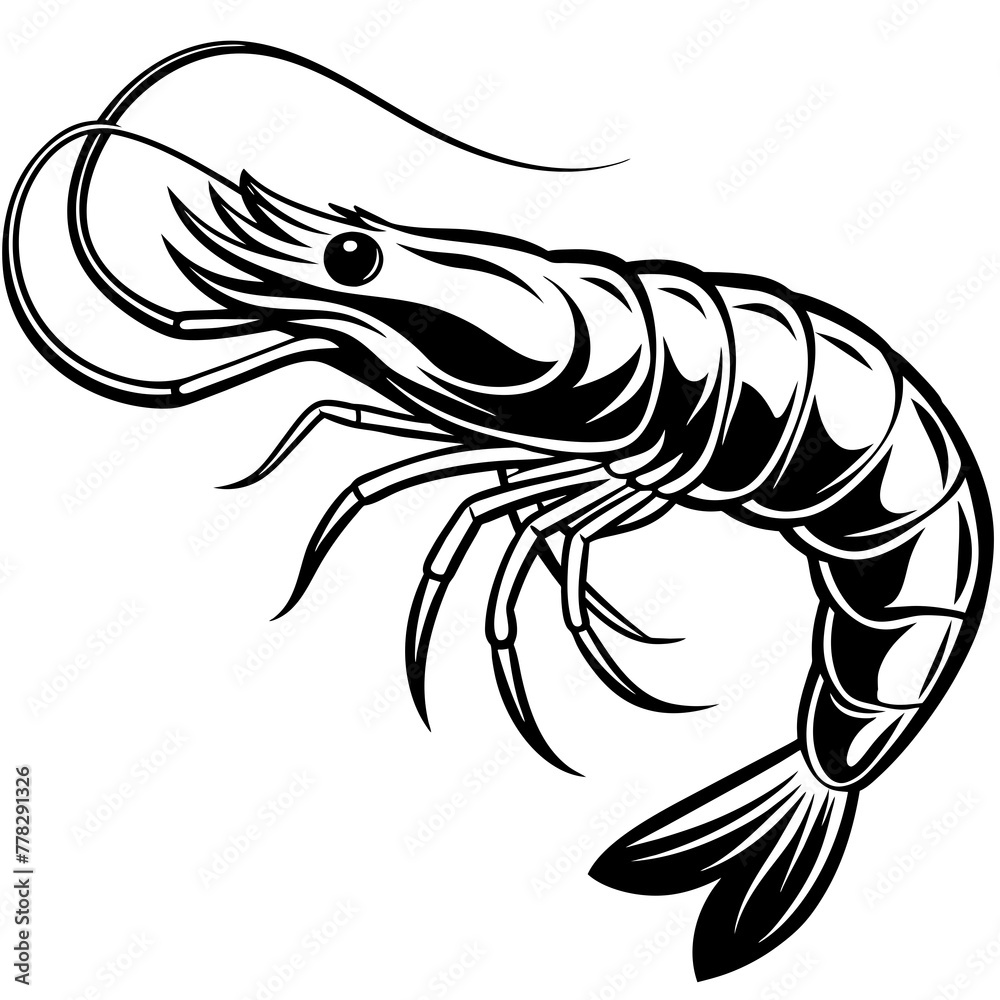 Shrimp vector illustration.
Shrimp vector illustration.