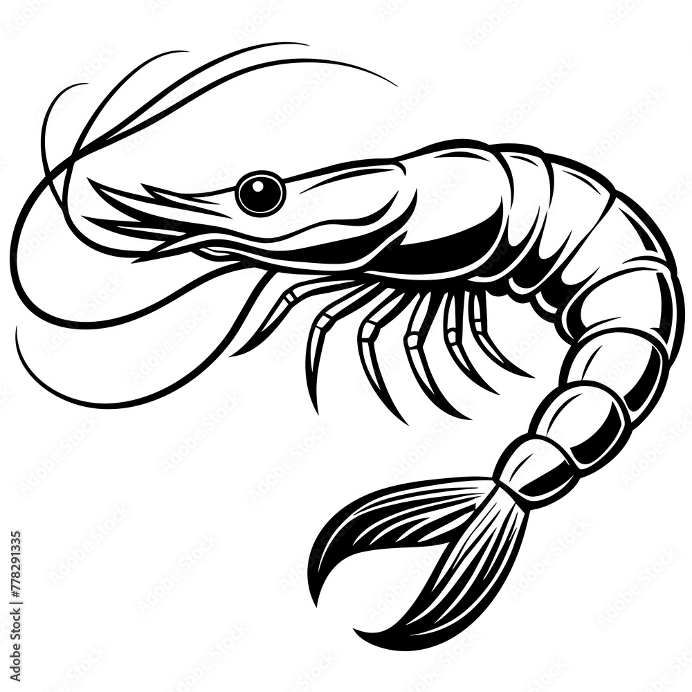 Shrimp vector illustration.
Shrimp vector illustration.