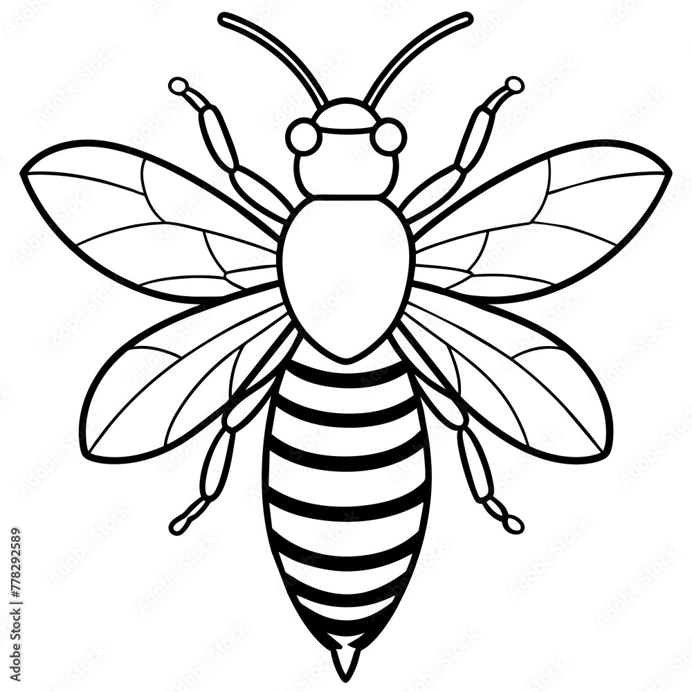 Asian giant hornet bee vector illustration.
Asian giant hornet bee vector illustration.