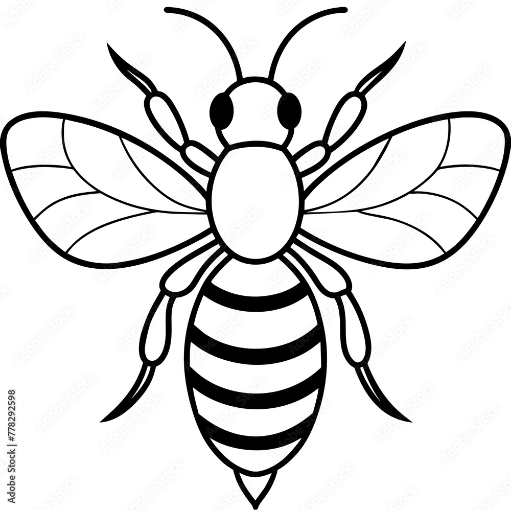 Asian giant hornet bee vector illustration.
Asian giant hornet bee vector illustration.