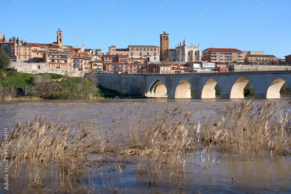 panoramic city scape of city of Tordesillas at the banks of River Duero Castillion e Leon, Spain, Europe - obrazy, fototapety, plakaty 