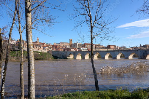 panoramic city scape of city of Tordesillas at the banks of River Duero Castillion e Leon, Spain, Europe