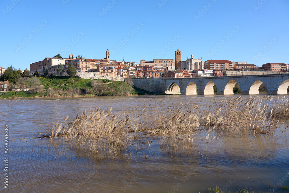 panoramic city scape of city of Tordesillas at the banks of River Duero Castillion e Leon, Spain, Europe