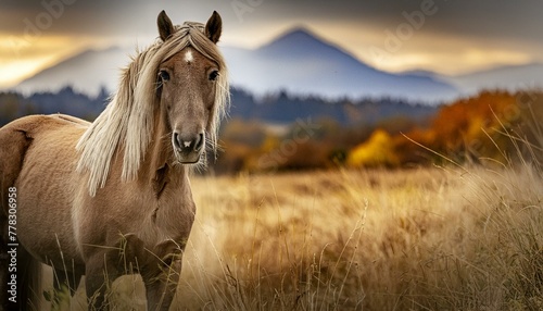 Pensive Horse in Autumn Field - Contemplative Equine Gaze - Majestic Stallion Amidst Rustic Landscape - Serene Animal Majesty - Generative AI
