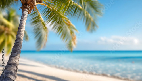 A palm tree is leaning over the beach  with the ocean in the background. The scene is serene and peaceful  with the palm tree providing a sense of relaxation and tranquility