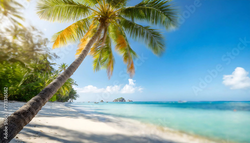 A palm tree is on a beach with the ocean in the background. The palm tree is tall and has a lot of leaves. The beach is calm and peaceful  with the palm tree providing a sense of relaxation