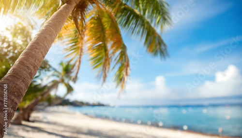 A palm tree is in the foreground of a beach scene. The palm tree is the main focus of the image, and the beach is the background