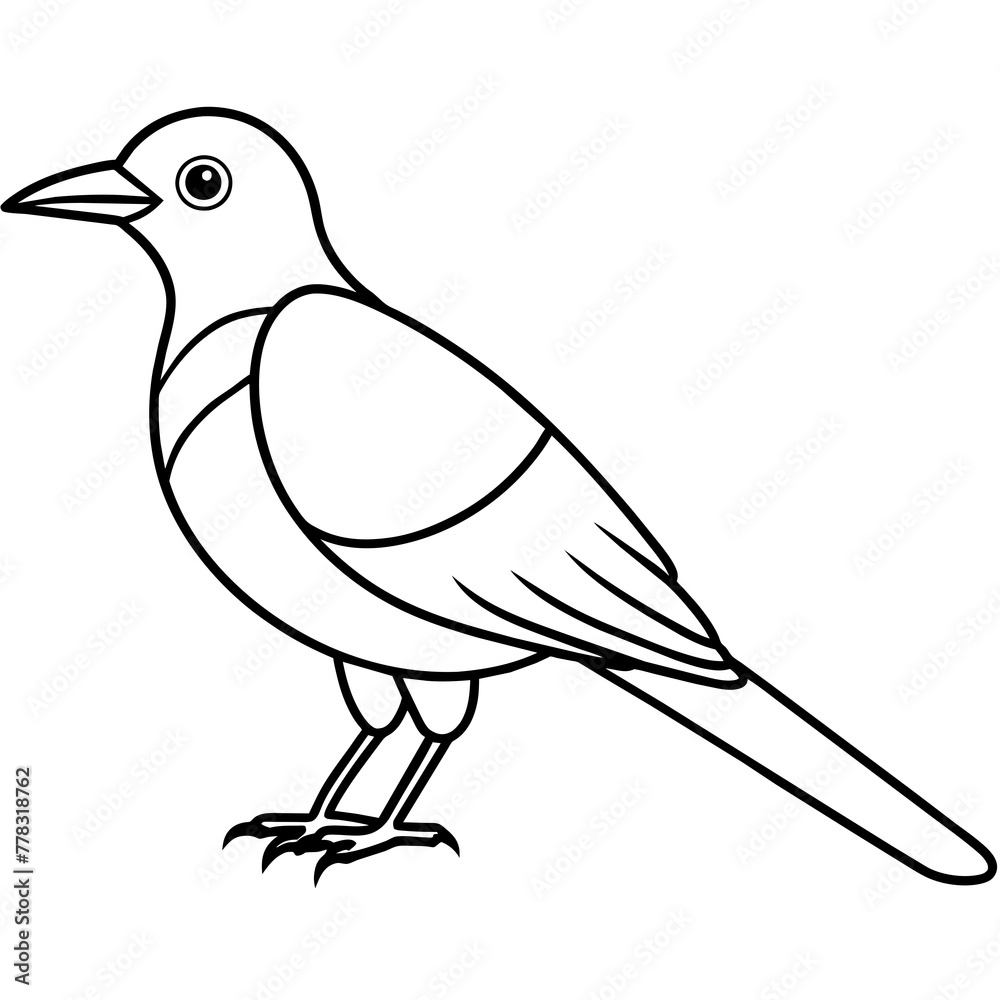 Obraz premium Bird vector illustration. 