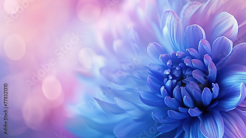 Blue chrysanthemum flower on a dreamy bokeh backdrop, copy space