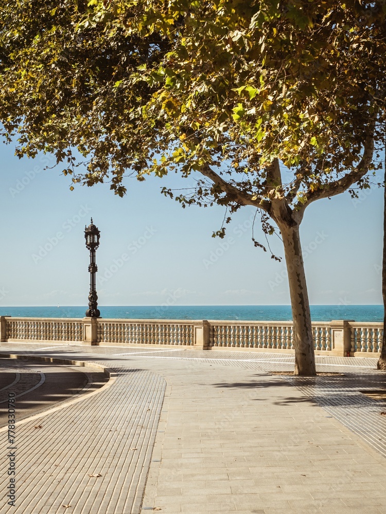 View of the seaside beach promenade of Cadiz under trees and lanterns