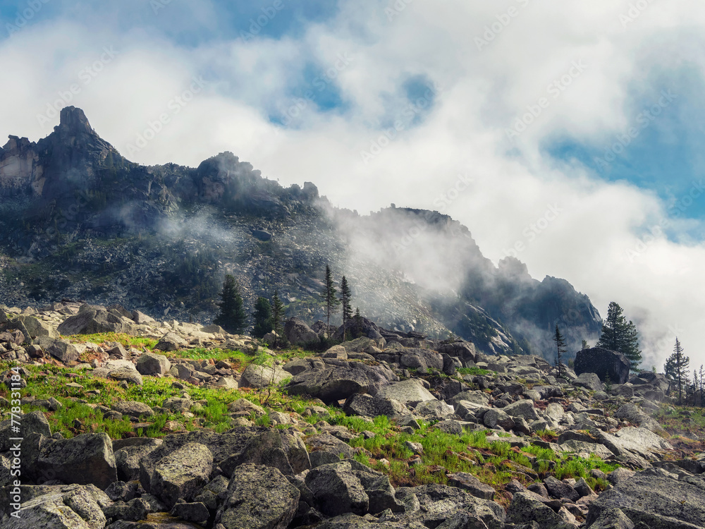 Sunny mountain top step thin forest. Mountains in the low clouds