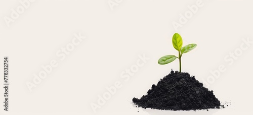 A small green sprout grows from the black soil of an organic farm on a clear white background