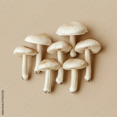 Top view of various types of mushrooms arranged neatly on a beige background for culinary and natural concept design