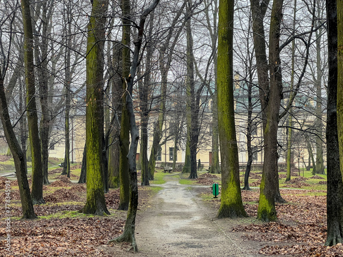 Park and the Mieroszewski Palace, which houses the rooms of the Zaglebie Museum in Bedzin