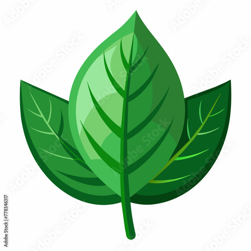 'Green Leaf': Logo for Nature Conservation
