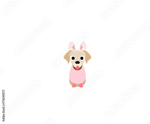 Bunny dog 19 © Lady coco