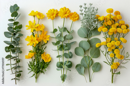 A neatly organized display of yellow flowers and varied greenery laid out on a pure white background