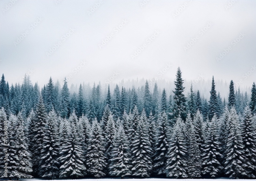 Obraz premium majestic snow covered pine trees against a soft grey sky, perfect for a tranquil winter scene, photography, nature, exterior, realism