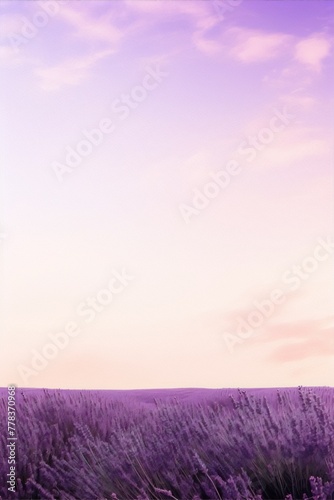 Lavender field in full bloom at sunset with a purple sky and pink clouds, photography, nature, landscape, impressionism, exterior